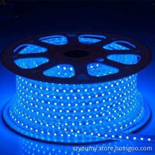 Blue LED Strip, Waterproof 60LED/m Input Voltage 220V with Power Plug